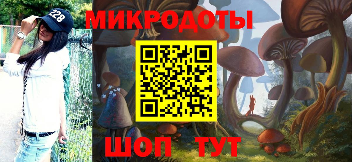 Псилоцибиновые грибы Psilocybe  Вход с VPN  Бугуруслан 