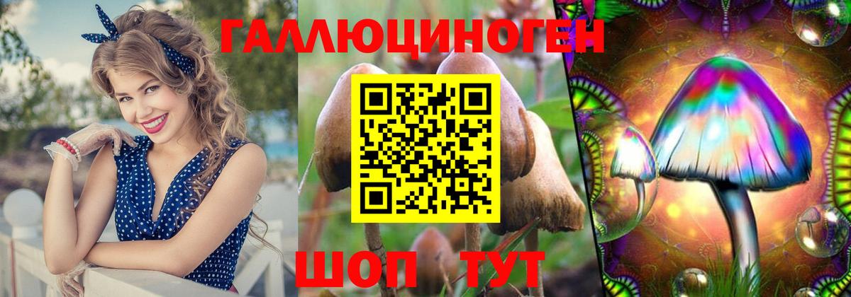 Псилоцибиновые грибы мицелий Бугуруслан